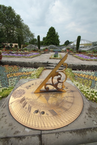 Disa-Orchidee   073.jpg